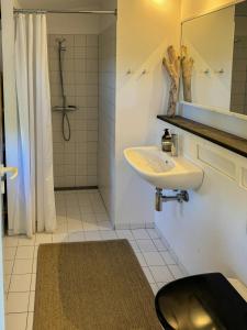 Modern Summer House Close To Sea On Samsø