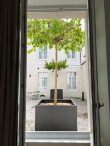 Le Laurencin Sens - Le Parisien - Cœur de ville