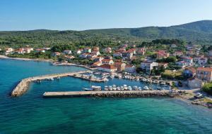 Beautiful Home In Dobropoljana