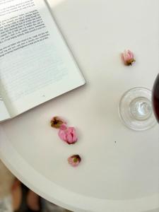 VALLE VERDE - San Nicolas