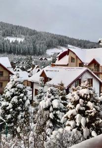 Sadyba u Halyny Sunrise