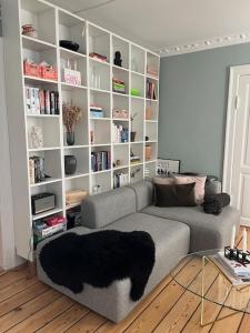 Apartment close to the lakes and Sankt Hans torv