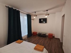 Studio ultracentral stefan cel mare