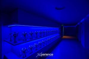 Teal at 12, City Views and Wonderland Vibes!