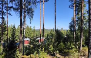 Stunning Home In Ekshärad With Wifi