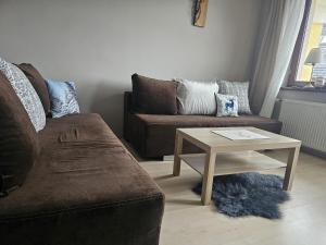 Apartament Zosia przy Krupówkach APARTZAKOP