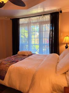 Caye Caulker Boutique Guesthouse 5