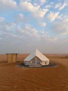Quiet Nights Camp