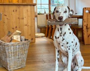 Birnbaum Chalets Grossarl