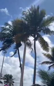 Apartamento em Jacaraipe a beira mar sol da manhã