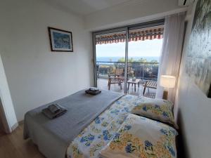 Splendid sea view 4 people pool wifi air conditioning parking