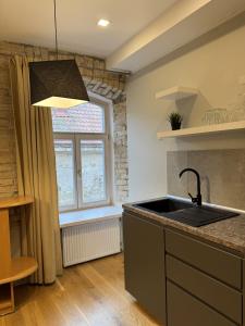 Gates of Dawn luxury Apartment - Aušros Vartų apartamentai