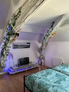 OJade 2 Lits Proche Gare Orléans et Fleury