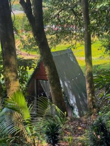 Eco Amigo el Rincón