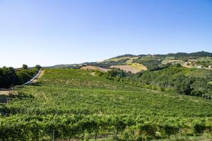 Italian Experience-Zena Suite