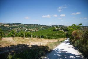 Italian Experience-Zena Suite