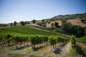 Italian Experience-Zena Suite