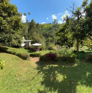 Aberdares Riverside Tea Cottage 1BR - 2349