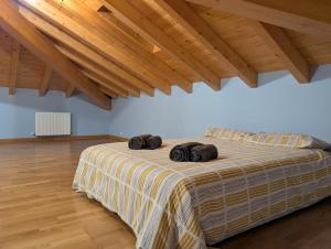 Among Pines and Oaks