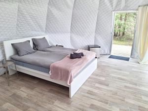 Bubble House glamping tent Odulemma
