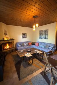 Horizon Nest Parnassos Villa Chalet!