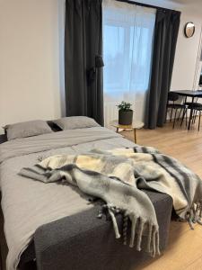 Cozy Center Apartment