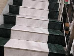 Hotel Ravi residency new