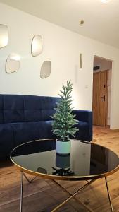 Apartament na Wojciecha