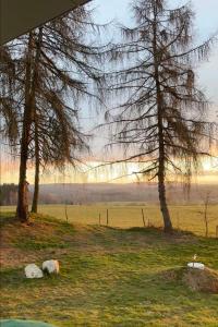 Lodge Amore - Mirrored Forest Retreat