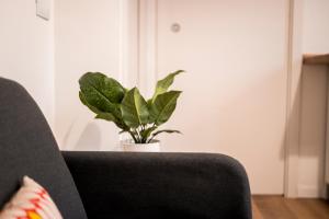 Darsena Riverside Milano