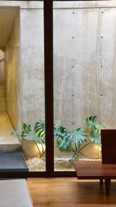 CasaBlanca - Alberca, terraza y vistas