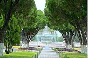 Torreón Jardin apartment near IMSS clinics 16 and 71