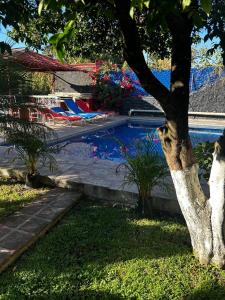 Dianas Home Oaxtepec