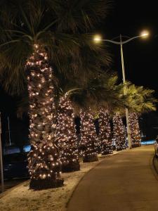 Appartement face à la mer dans le charmant village de Sausset-les-pins