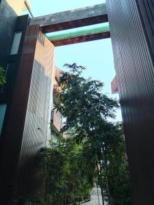 The Empire Amira depa con 2 bicicletas incluidas en tu reserva!!!