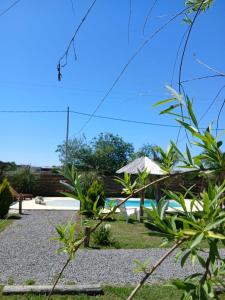 Cabañas Punta Arena