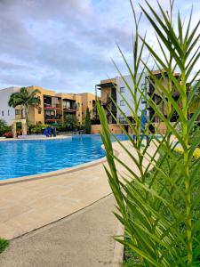 Apartamentos PRIVADOS 2 - 3 Habitaciones 4 Piscinas, 3 Jacuzzi, Sauna Cerca Aeropuerto Eden y Parque del Cafe By Molca Travel