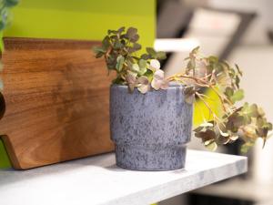 Charmante Wohnung am Drachenfels