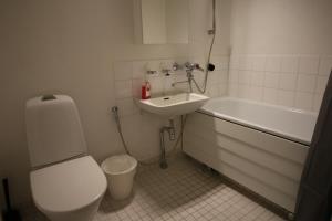 Scandinavian-Style Apartment