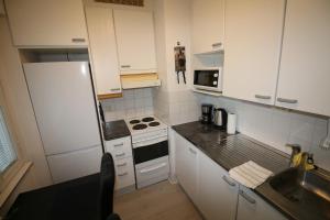 Scandinavian-Style Apartment