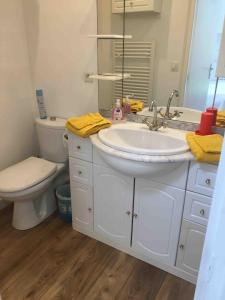 Chambre dhôtes-studette Biarritz Milady, calme, patio, vue sur jardin et montagne du patio, parkin privé, tout confort