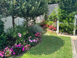 Chambre dhôtes-studette Biarritz Milady, calme, patio, vue sur jardin et montagne du patio, parkin privé, tout confort