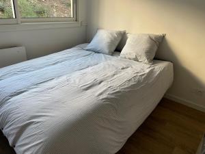 Studio avec canapé lit 2 places dans pièce de vie et lit une place dans coin nuit