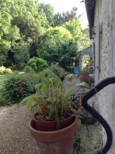 B&B / Chambres d'hotes Gite du Calme 3 Star Bed & Breakfast Cognac : photos des chambres