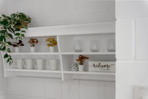 The Driftwood - Explore the Beach Life at Henley