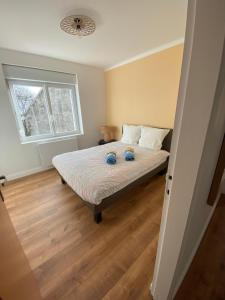 Gîte cosy en haut du Mont Cassel avec vue panoramique pour 6 pers