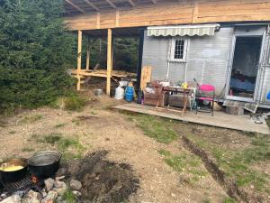 Adriana Phoenixs Bird