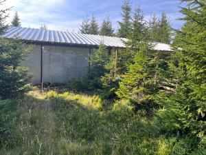 Adriana Phoenixs Bird