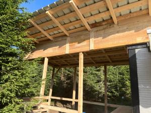 Adriana Phoenixs Bird