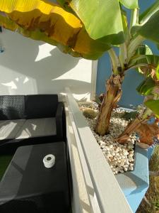 Halászfalu Apartman Green Park